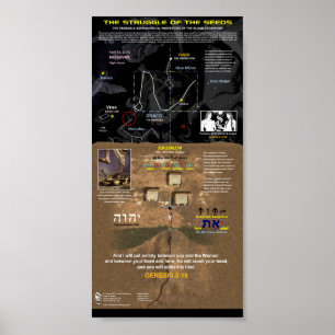 The Struggle of the Seeds Poster