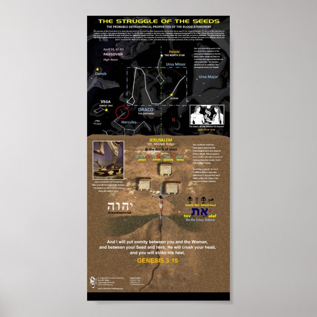 The Struggle of the Seeds Poster (Front)
