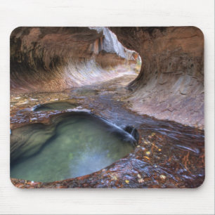 The Subway along the Left Fork of the Virgin 2 Mouse Pad