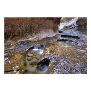 The Subway along the Left Fork of the Virgin 2 Photo Print
