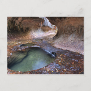 The Subway along the Left Fork of the Virgin 2 Postcard