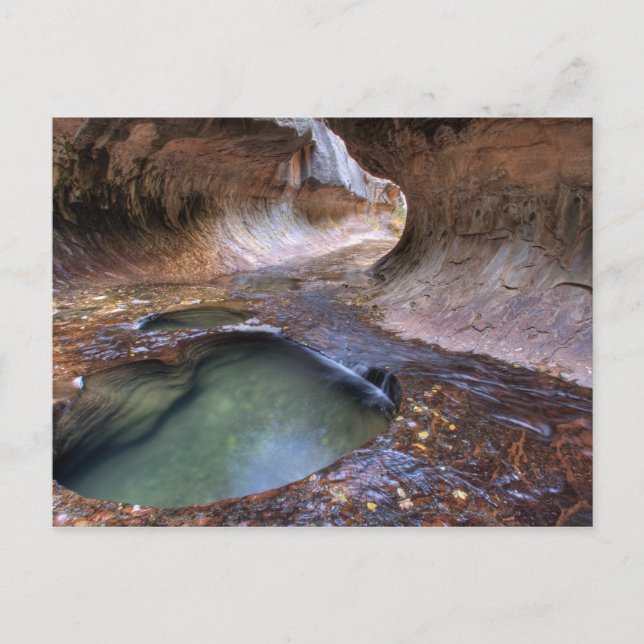 The Subway along the Left Fork of the Virgin 2 Postcard (Front)