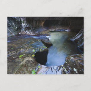 The Subway slot canyon Postcard