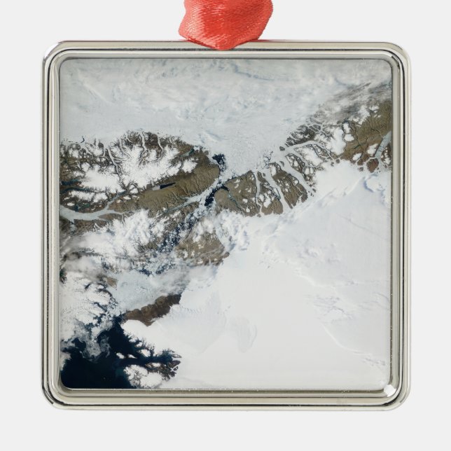 The summer thaw metal ornament (Front)