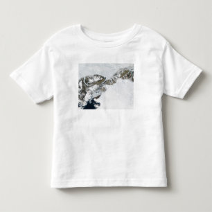 The summer thaw toddler t-shirt