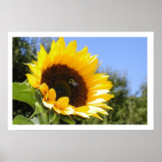 The Sun Flower Poster