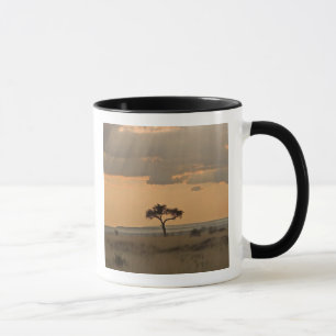 The sun rays lasering through the afternoon mug