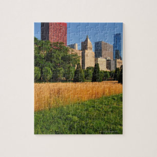 The sun, refelcts off prairie like grass in jigsaw puzzle