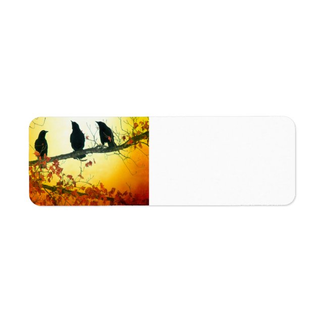 The Sun Rises (Front)