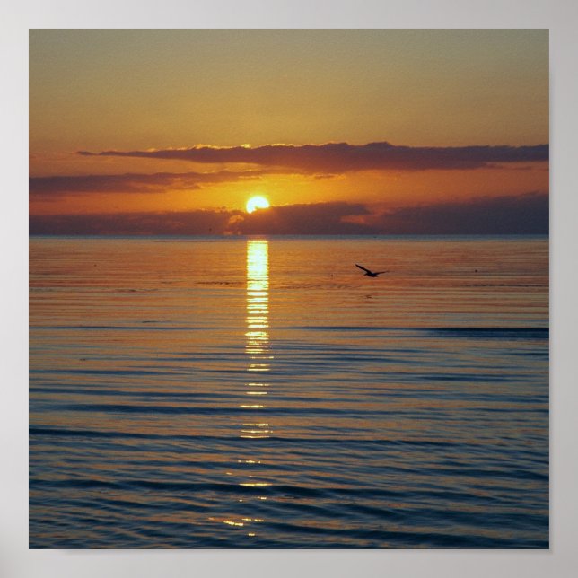 The sun will rise poster (Front)