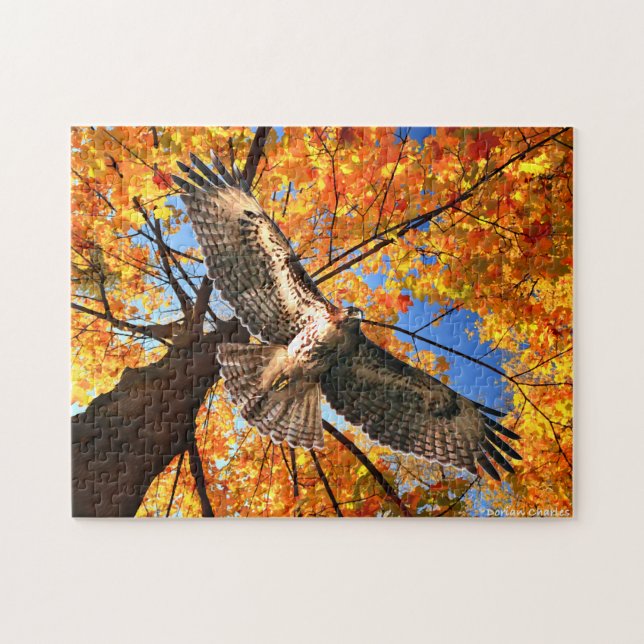 "The Sunday Hawk" Puzzle (Horizontal)