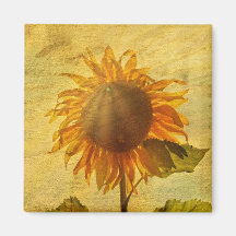 The Sunflower
