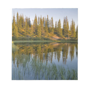 The sunrise illuminates trees on an unnamed notepad