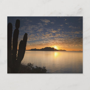 The sunrise over Isla Danzante in the Gulf of Postcard