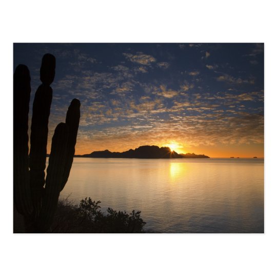 The sunrise over Isla Danzante in the Gulf of Postcard