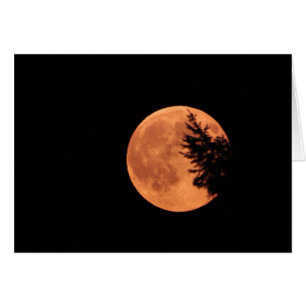 The Super Moon!