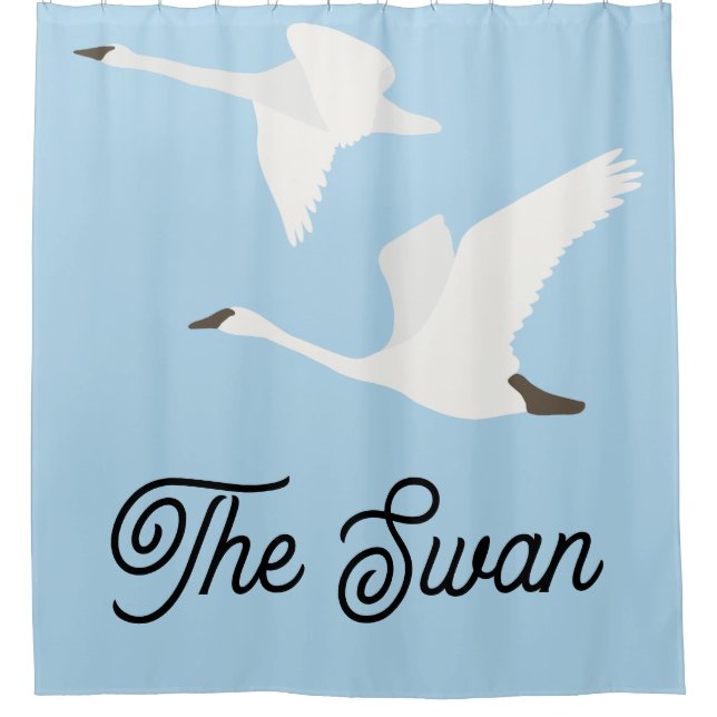 The Swan Colour Block (Front)