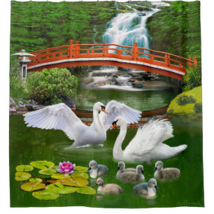 THE SWAN FAMILY