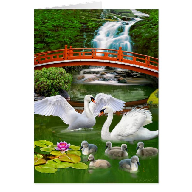 THE SWAN FAMILY (Front)