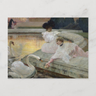 The Swans, 1900 Postcard