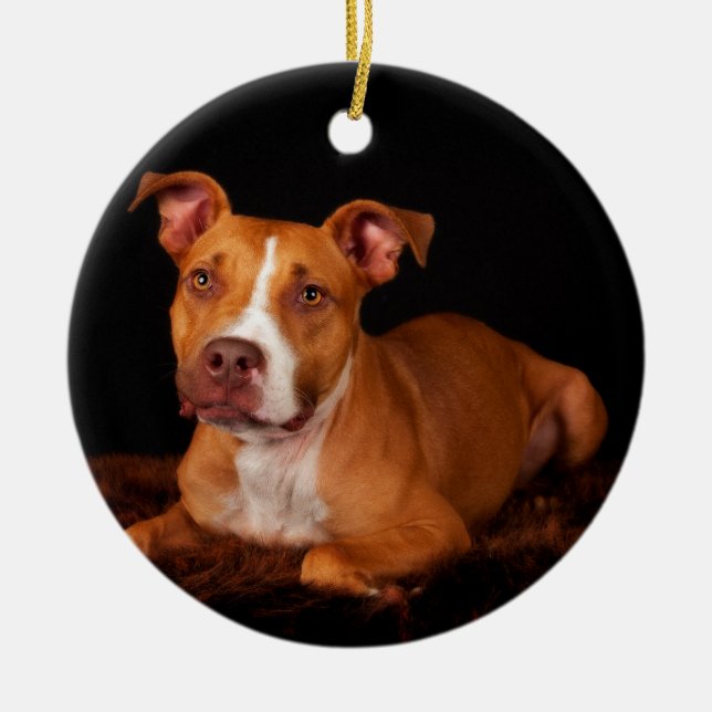 The Sweet Pitty Ceramic Ornament (Front)