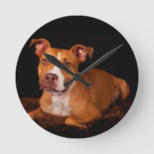 The Sweet Pitty Round Clock