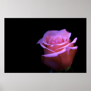 The Sweetest Flower that Blows... Poster