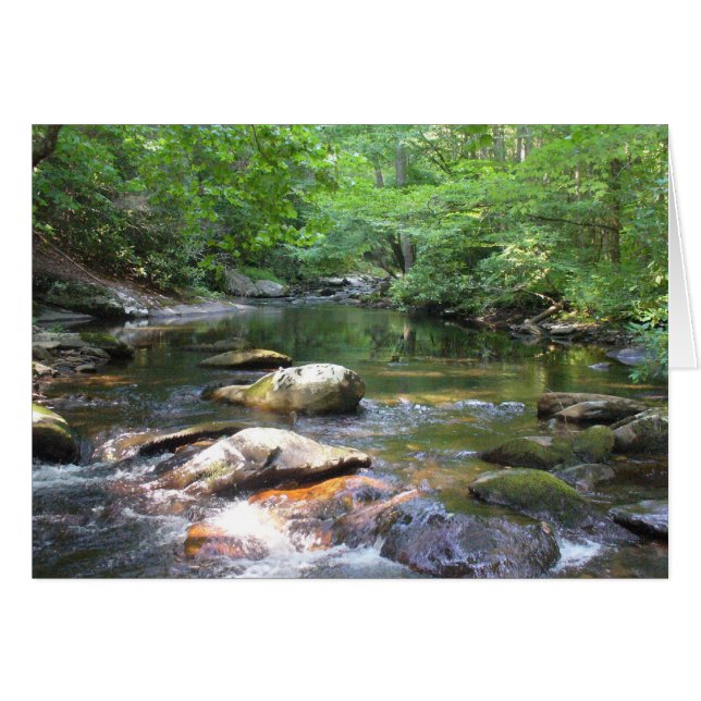 The Swimming Hole 032 (Front Horizontal)