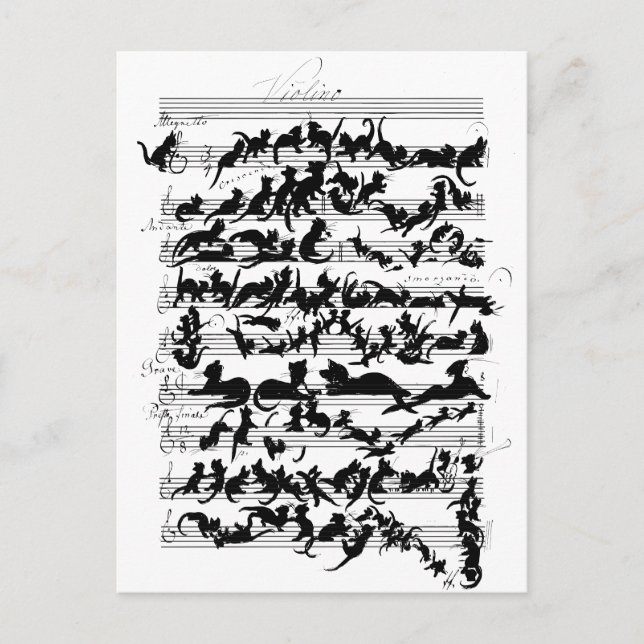 The Symphony of the Cat Vector Postcard (Front)