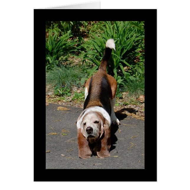 The Tai Chi Master (Front)