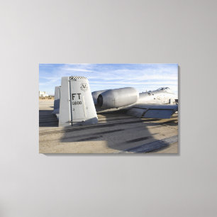 The tail section of an A-10 Thunderbolt II Canvas Print