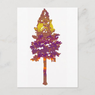 The Tall Fir Postcard