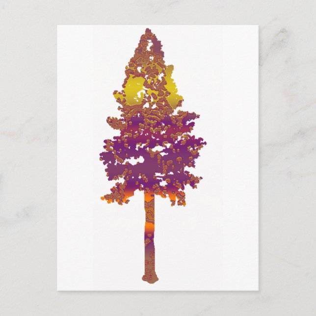 The Tall Fir Postcard (Front)