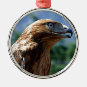 The tamed falcon metal ornament