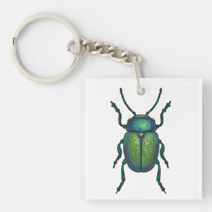 The tansy beetle