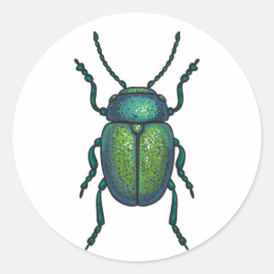 The tansy beetle classic round sticker