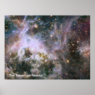 The Tarantula Nebula - Frame 4 With Title Poster