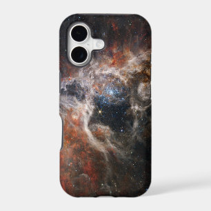 The Tarantula Nebula   NIRCam   JWST