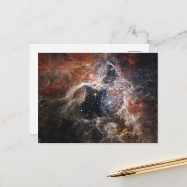 The Tarantula Nebula | NIRCam | JWST Postcard (Front/Back In Situ)