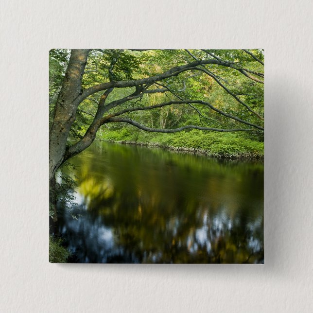 The Taunton River in Bridgewater, 2 Inch Square Button (Front)