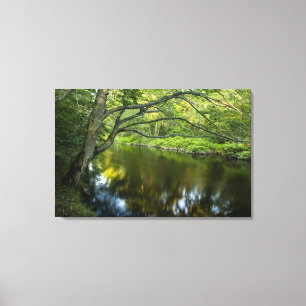 The Taunton River in Bridgewater, Canvas Print