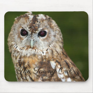 The Tawny Owl Mouse Pad