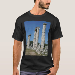 The Temple Of Aphrodite Ruins Of Aphrodisias Turki T-Shirt