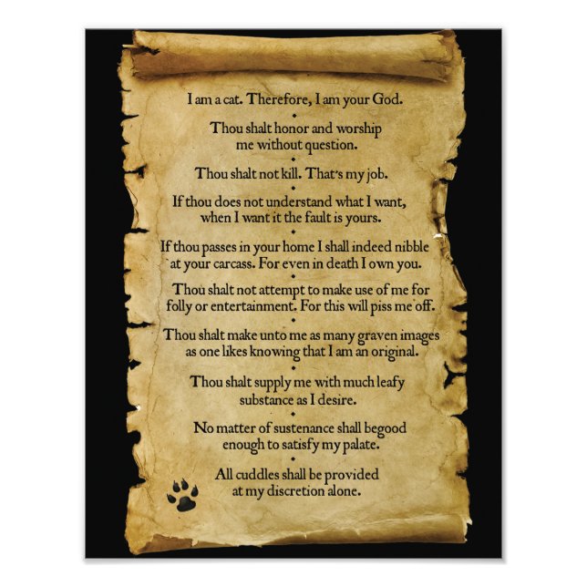 The Ten Commandments of The Cat Photo Print (Front)