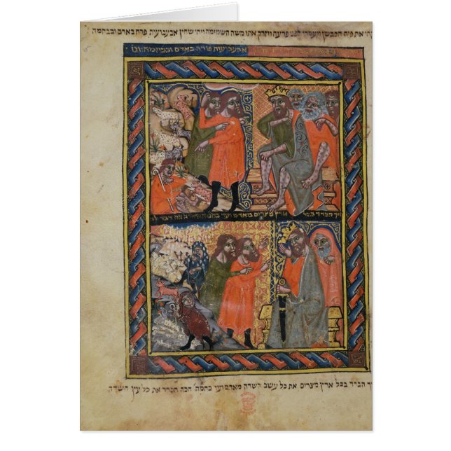 The Ten Plagues of Egypt TtoB (Front)