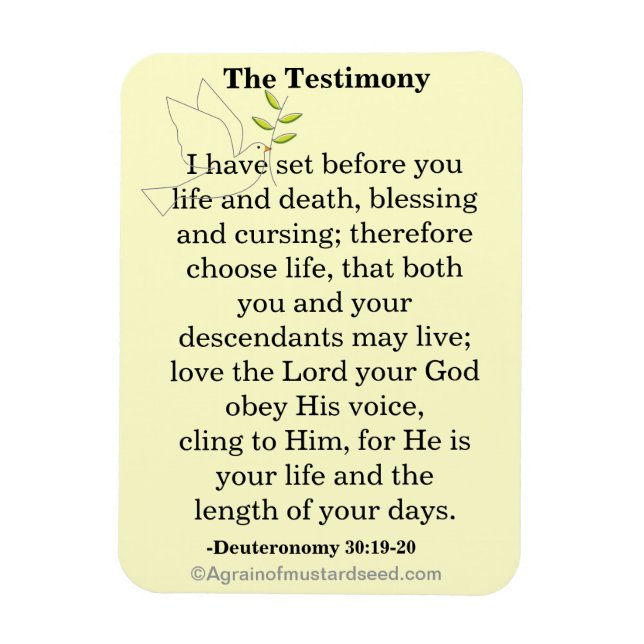 The Testimony Scripture Magnet (Vertical)