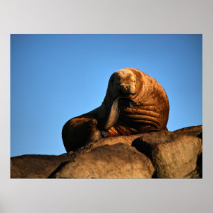 The Thinker - Fine Art Prints