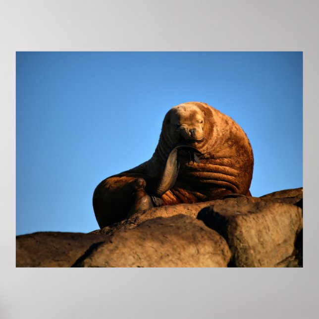 The Thinker - Fine Art Prints (Front)