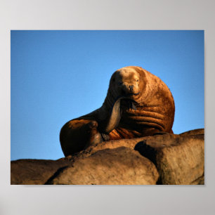 The Thinker - Fine Art Prints