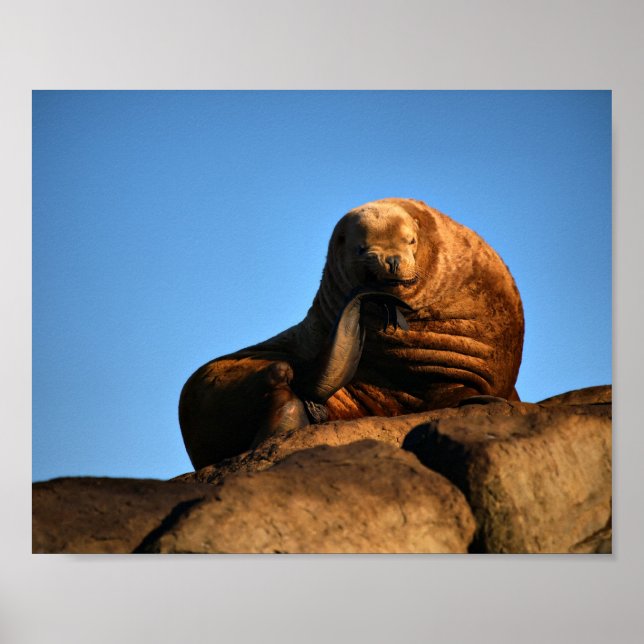 The Thinker - Fine Art Prints (Front)